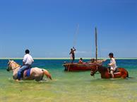 Archipelago Resort